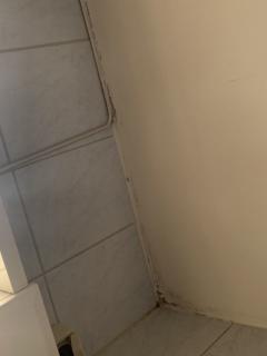 Image from job nr 2
