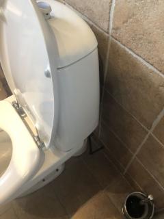 Image from job nr 1