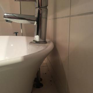 Image from job nr 1