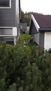 Image from job nr 2