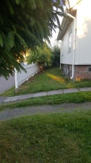 Image from job nr 1