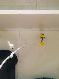 Image from job nr 1