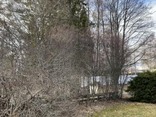 Image from job nr 4