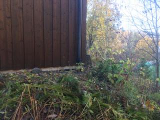 Image from job nr 2