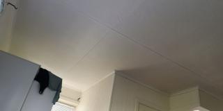 Image from job nr 1
