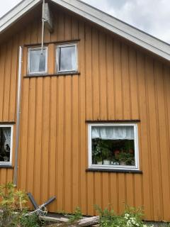 Image from job nr 1