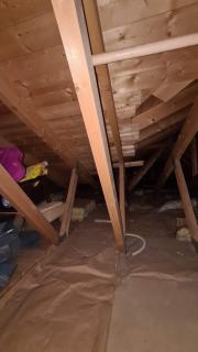 Image from job nr 1