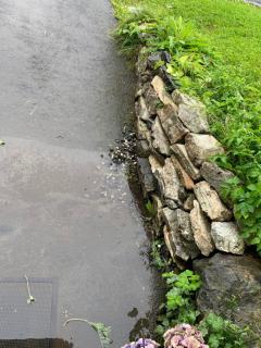 Image from job nr 1