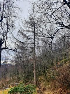 Image from job nr 4