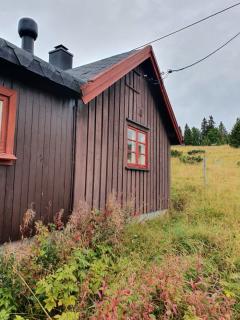 Image from job nr 4