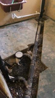 Image from job nr 1