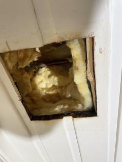 Image from job nr 3