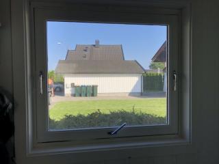 Image from job nr 2