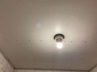 Image from job nr 2
