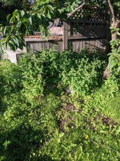Image from job nr 3