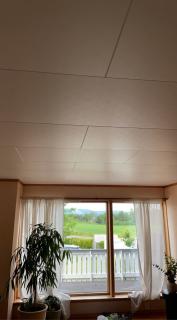 Image from job nr 1