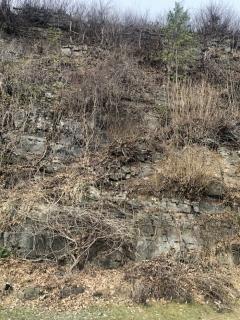 Image from job nr 4
