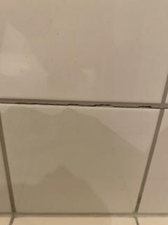 Image from job nr 2