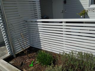 Image from job nr 5