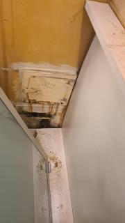 Image from job nr 1