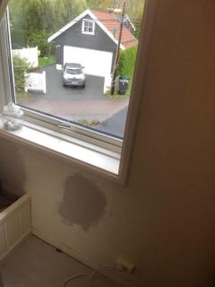 Image from job nr 1