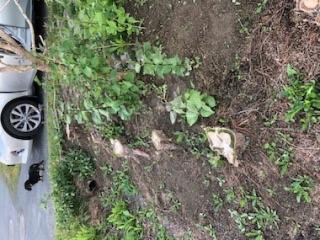 Image from job nr 3