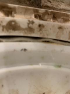 Image from job nr 4