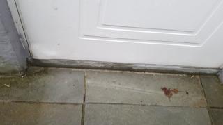 Image from job nr 2