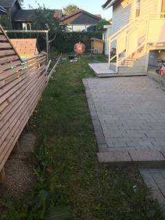 Image from job nr 6