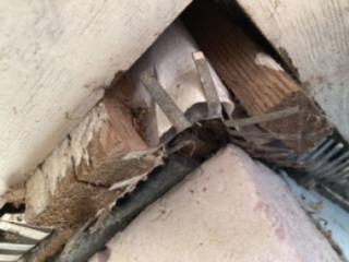 Image from job nr 1