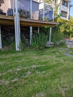 Image from job nr 5
