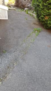 Image from job nr 3