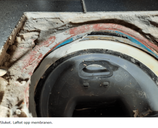 Image from job nr 1
