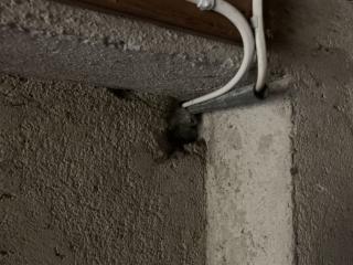 Image from job nr 3