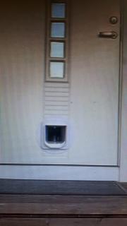 Image from job nr 1