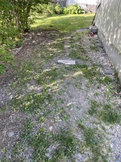 Image from job nr 5