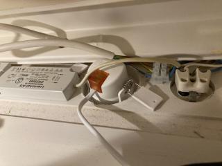 Image from job nr 1