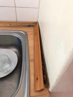 Image from job nr 1