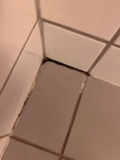 Image from job nr 1