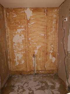 Image from job nr 1