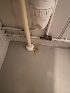 Image from job nr 3