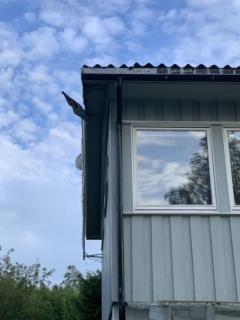Image from job nr 2