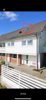 Image from job nr 1