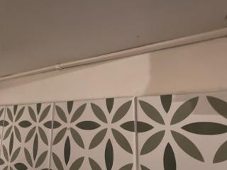 Image from job nr 2