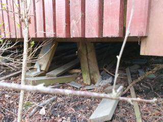 Image from job nr 5