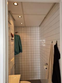 Badet i dag, systemtak/plater