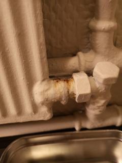 Image from job nr 1