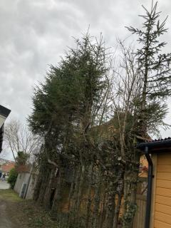Image from job nr 4