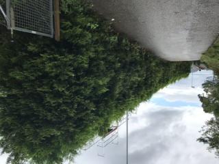 Image from job nr 1