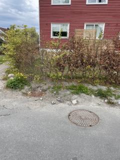 Image from job nr 1